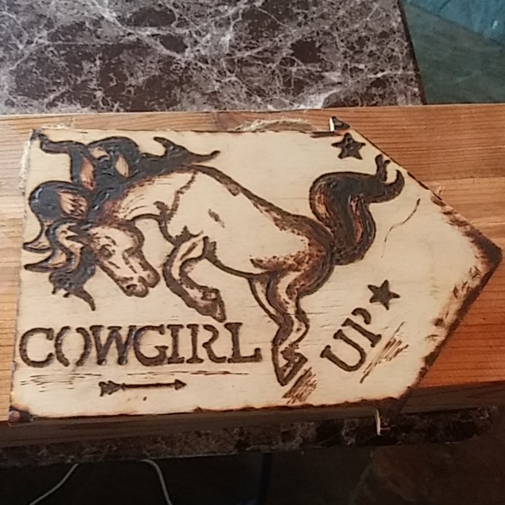 Wood Burnt hanging Horse/Cowgirl Plaque